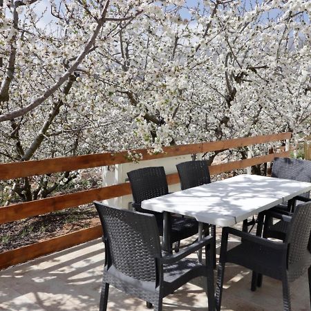 Oriental Nature Majdal Shams Luaran gambar