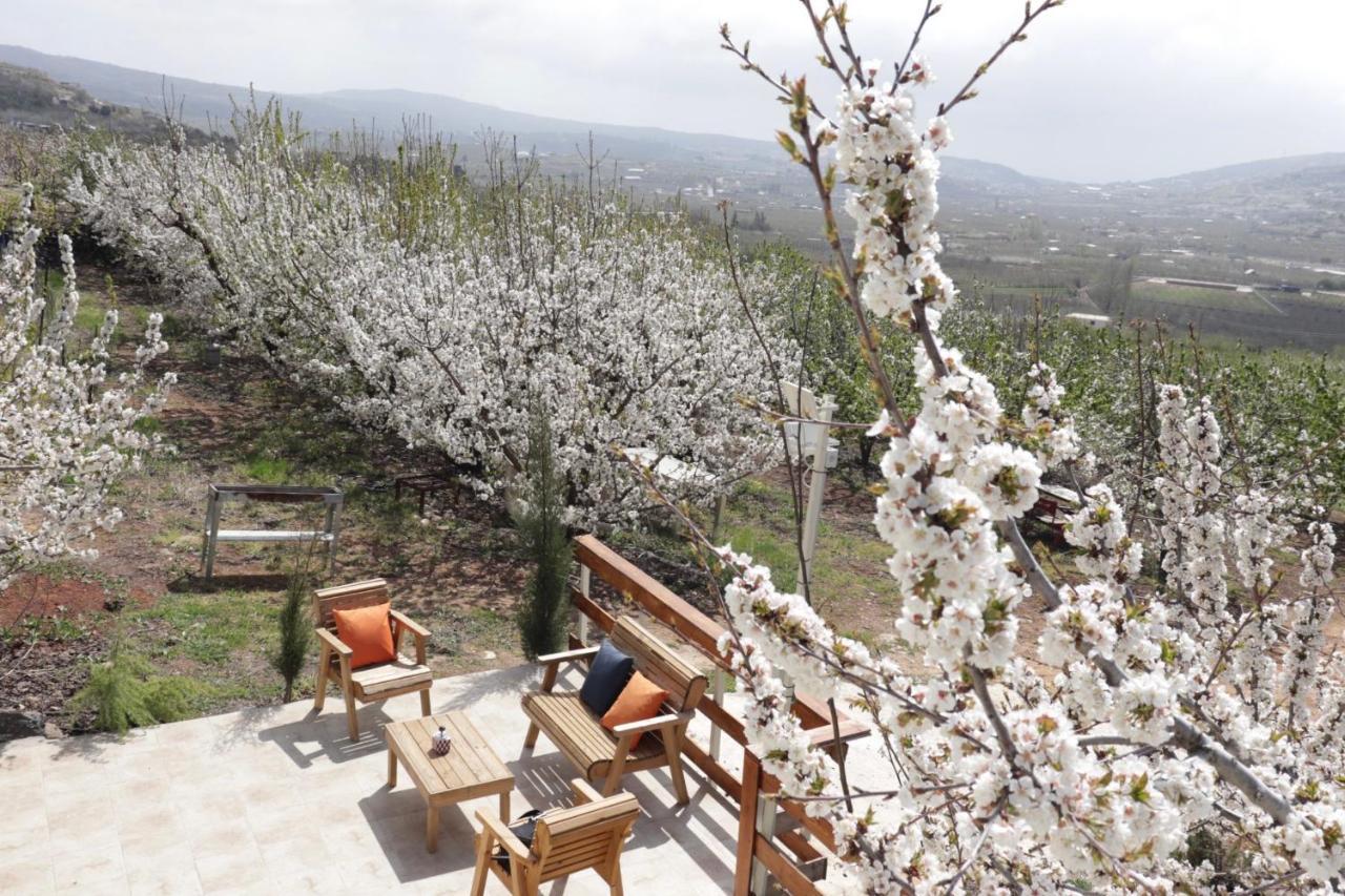 Oriental Nature Majdal Shams Luaran gambar