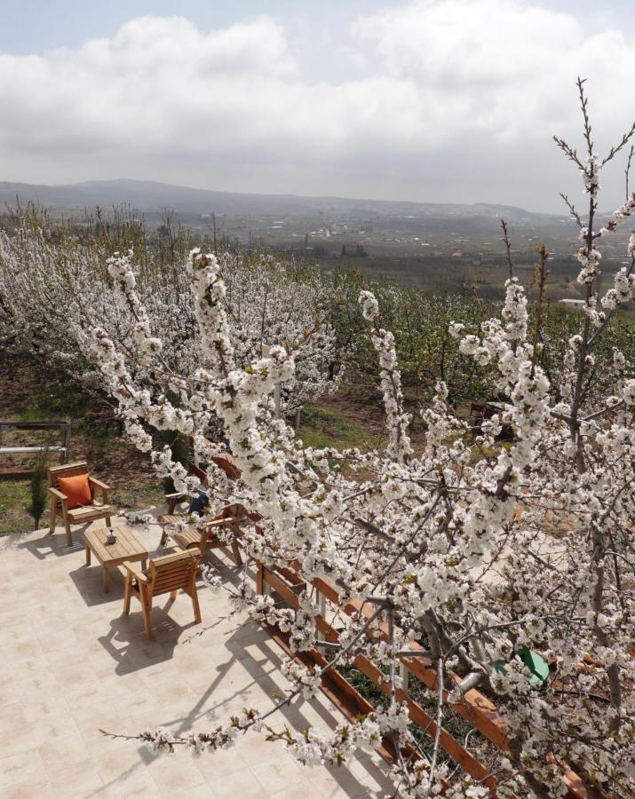 Oriental Nature Majdal Shams Luaran gambar