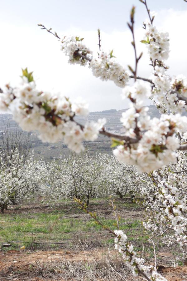 Oriental Nature Majdal Shams Luaran gambar
