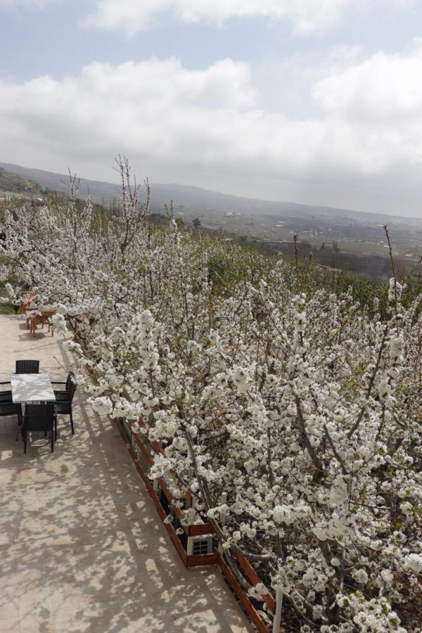 Oriental Nature Majdal Shams Luaran gambar