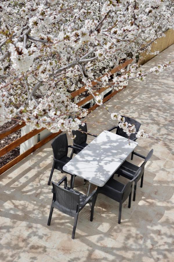 Oriental Nature Majdal Shams Luaran gambar